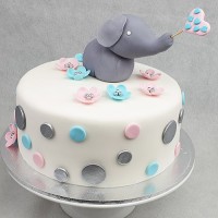 Baby Elephant and Dot Cake